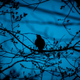 Image for article titled 36 Photos You Took Instead Of Anything Else In The Universe